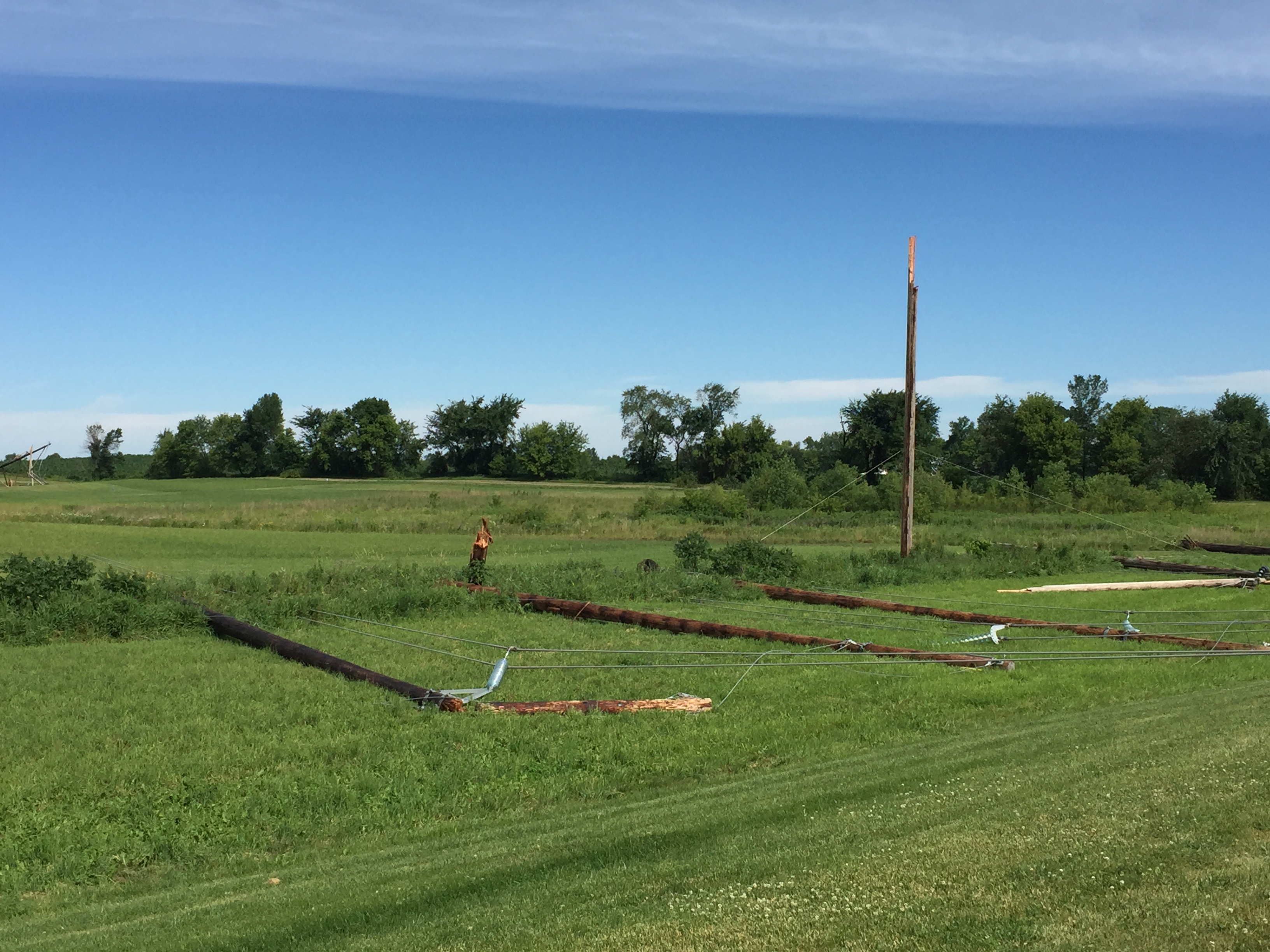 Snapped power line poles in a ditch. 